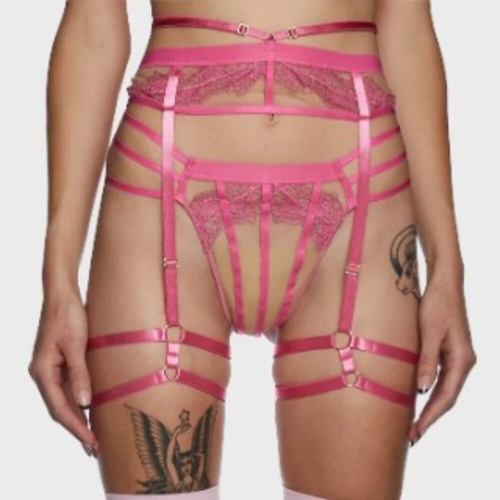 Wolf & Whistle - After Dark Tasha Pink Illusion Mesh Harness Suspender (NWT)